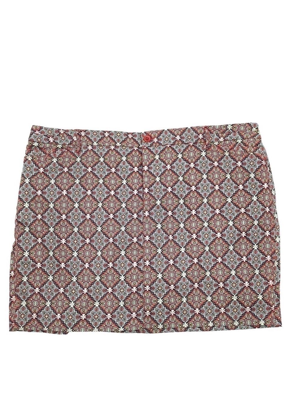 NWT Intro Hannah Skort 22W